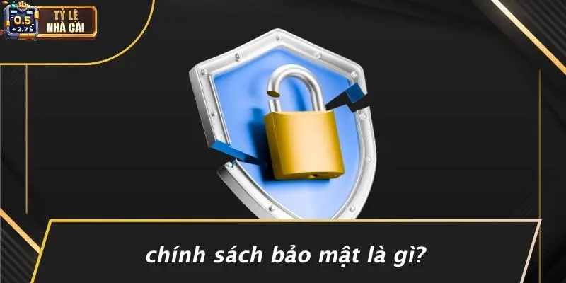 Chính Sách Bảo Mật Là Gì?