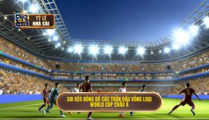 Soi kèo bóng đá các trận đấu vòng loại World Cup châu Á