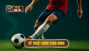 Kỹ thuật đánh chặn bóng