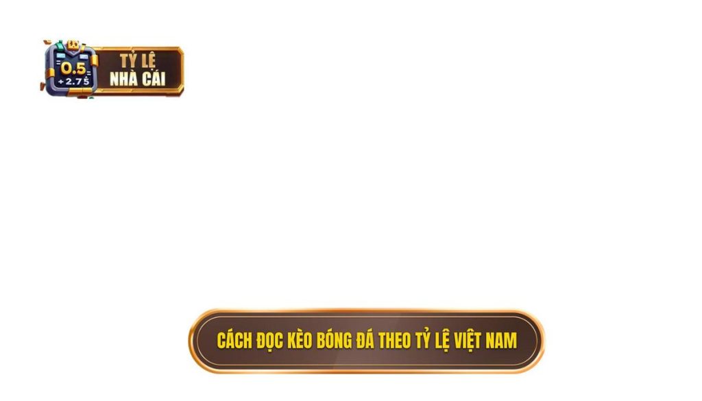 Cách đọc kèo bóng đá theo tỷ lệ Việt Nam