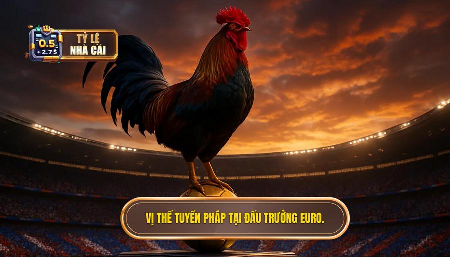 1. Vị thế tuyển Pháp tại đấu trường Euro.
